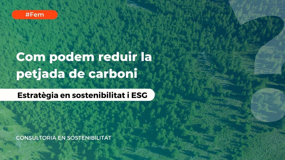 grup_carles's tweet photo. Són moltes les empreses que ens pregunten com poden reduir la seva petjada de carboni. Tranquils, és més senzill del que sembla. Si vols conèixer mesures concretes adaptades a les necessitats de la teva empresa, contacta'ns i t'ajudarem! https://t.co/Y2IR5dsNfr