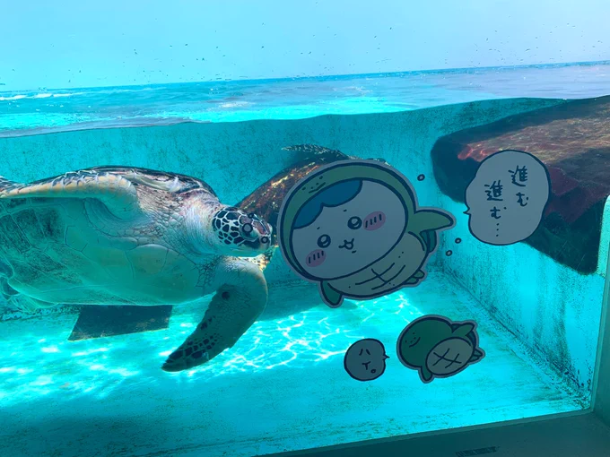 ちいかわ水族館 