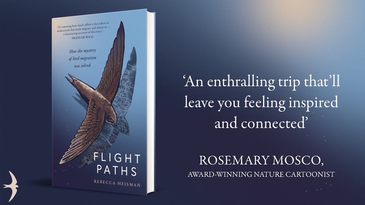 _SwiftPress's tweet image. 'An enthralling trip' @RosemaryMosco

#FlightPaths by @r_heisman uncovers the secret history of an ornithological arms race.

Publishing on Thursday. Available for pre-order: bit.ly/FlightPathsUK