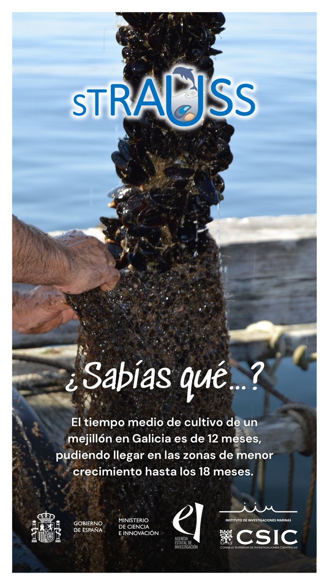 STRAUSSPROJECT's tweet image. ¿Sabías qué...?