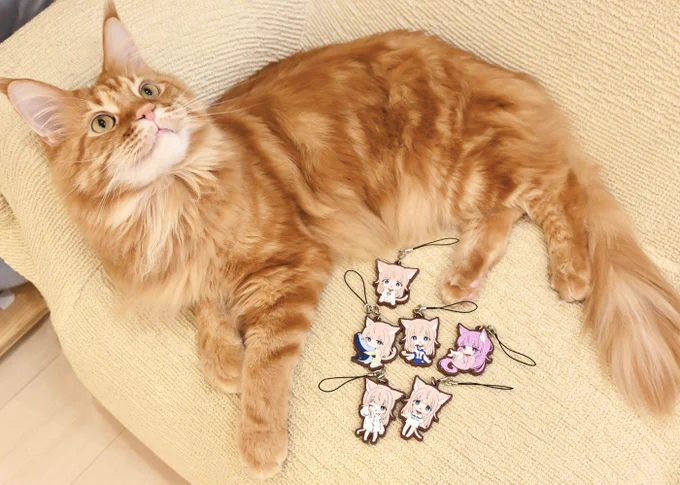 うちのねこが女の子でかわいいきなこのカプセルトイが出たよ   ◒きなこラバーストラップ(全6種)きなこのガシャポン見つけたら教えてね 