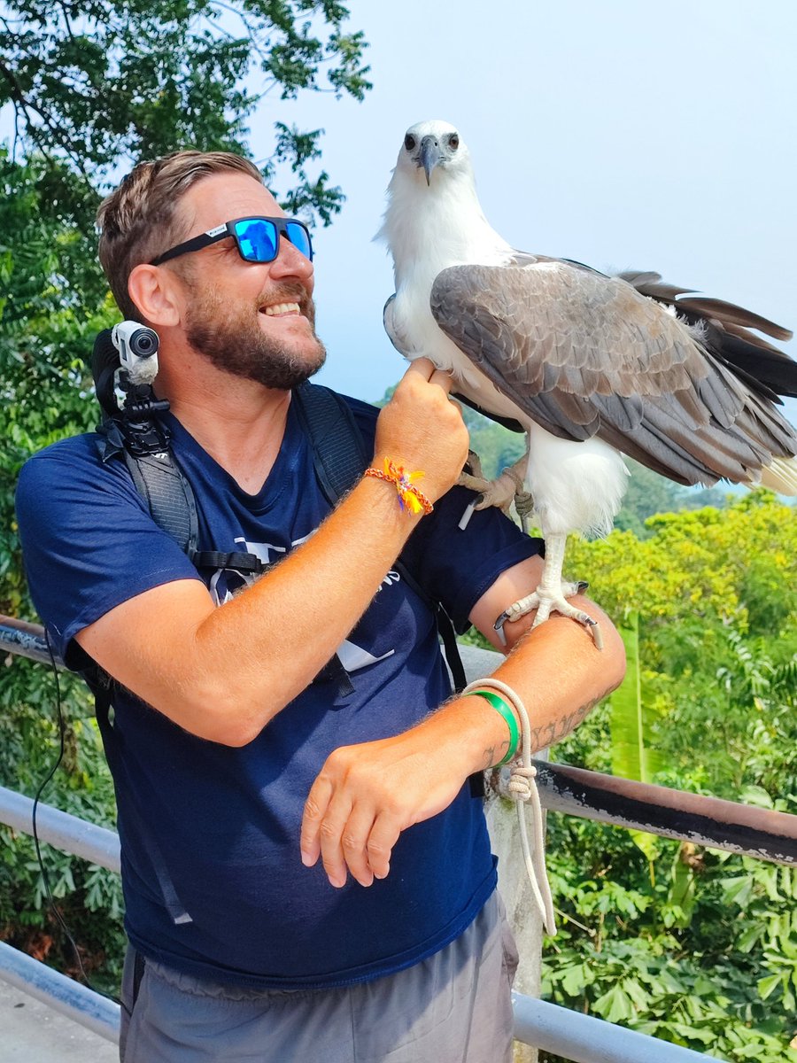 Jolie rencontre ce matin du côté de karon beach #gthaï