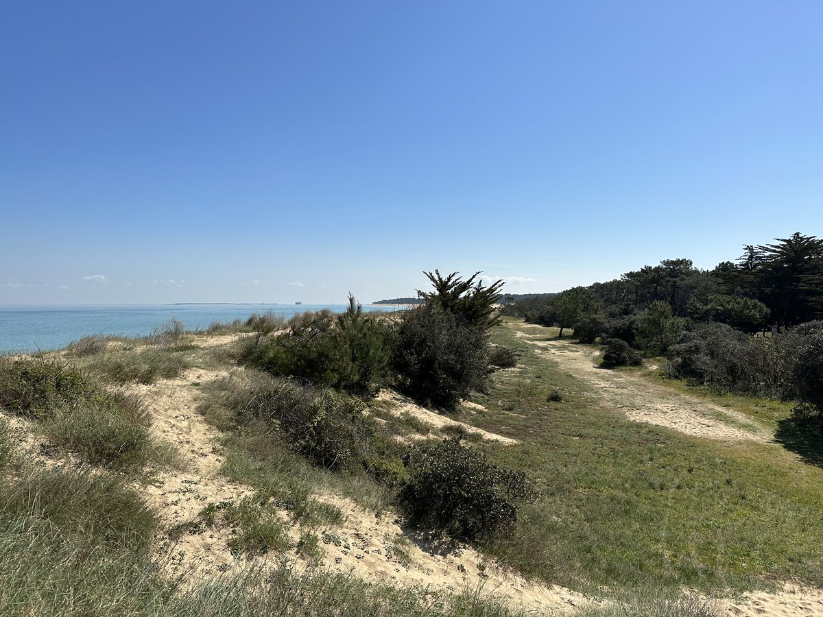 Sortie #unss préparation raid académique. 🔗parents-eleves-prof #motivation #gouteffort 🙏 pour cette belle journée sur 🏝️iø. liaison 
<a href="/CJeanvilar/">Collège JeanVilar</a> - <a href="/lyceeHVDS/">Lycée du Haut Val de Sèvre</a>