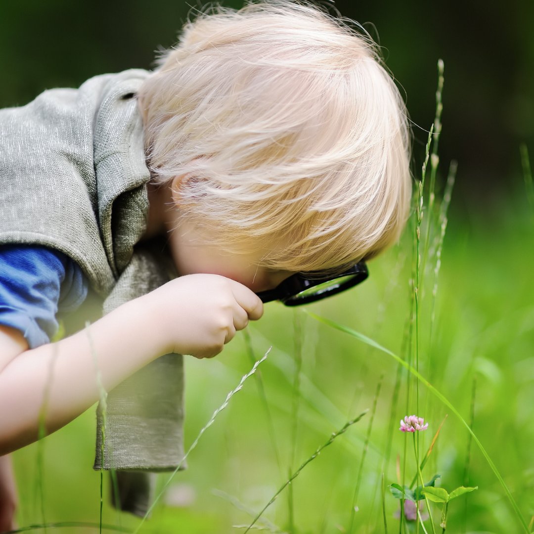 Have you made an interesting wildlife sighting recently? 🔍

Help us by recording your sightings on <a href="/inaturalist/">iNaturalist</a> — the platform will help you work out an ID for what you've seen, and we'll be able to use that data to learn more about our wildlife!

#GreatSomersetWildlifeCount