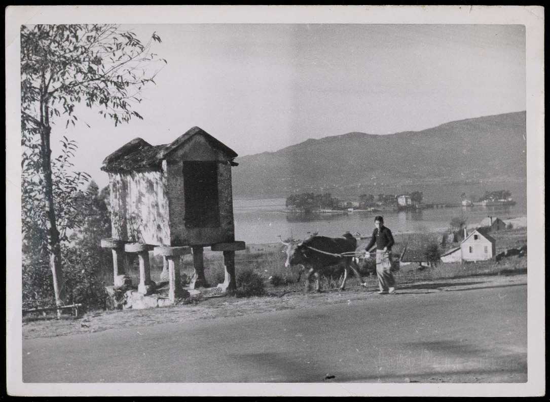 GZHai1Seculo's tweet photo. Fondo da ría de Vigo coa illa de San Simón.
1937
Fonte Biblioteca Nacional de España https://t.co/8HUmHm1bts