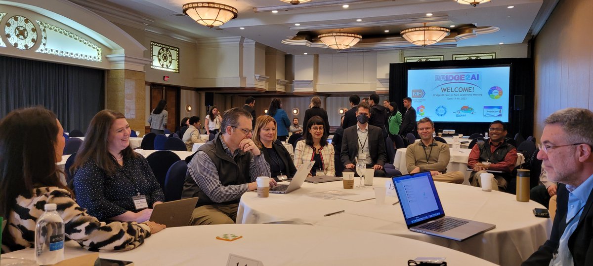 The Voice Collab works on its teaming, a crucial step in complex projects #bridge2ai2023 <a href="/Bridge2aiVoice/">Bridge2AI Voice</a>