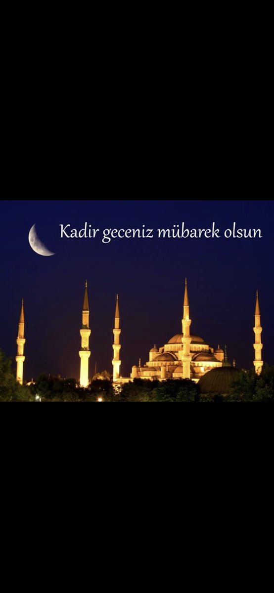 mstf_byrktar's tweet image. 