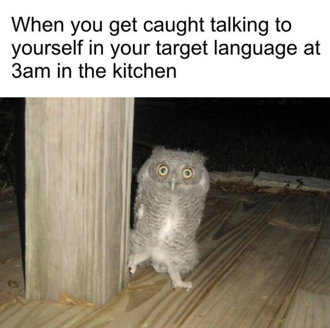 langs_gg's tweet photo. Hehe #langtwt #languages https://t.co/24JdcfSyIj