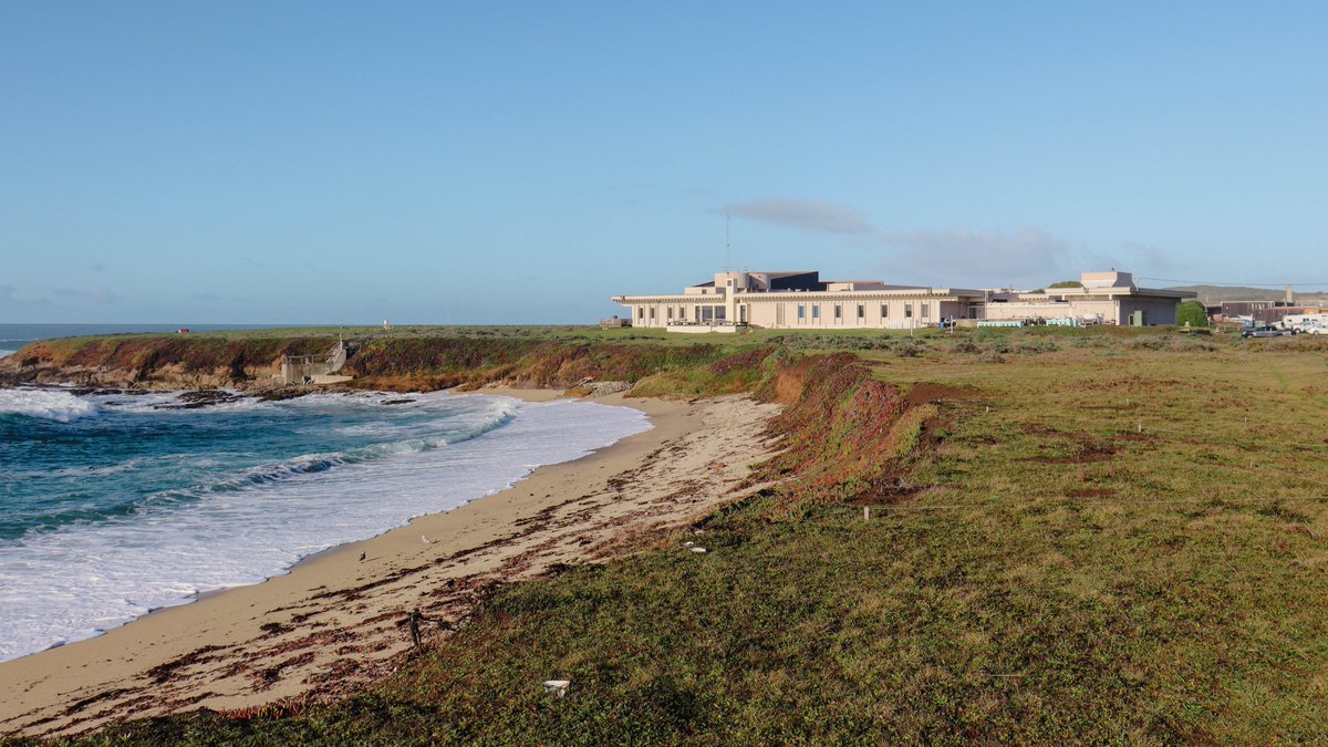We're hiring! The <a href="/ucdavis/">UC Davis</a> Bodega Marine Lab is looking for a Technical Support Specialist to provide audio-visual, desktop network, and telecom support in Bodega Bay. Apply by 4/27.
External applicants: bit.ly/3GOzvsL
Internal UCD applicants: bit.ly/41lbLEU
