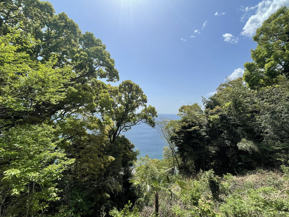 makomorino's tweet image. ひっっっっさしぶりに
 #いい伊豆みつけた　のロケで伊豆に来ておりました🏖☀️✨

最高のロケ日和でとても気持ち良く、
伊豆の皆さんの優しさ、一人一人の想いに触れられて幸せなひと時となりました☺️

放送日　お楽しみに〜‼️✨

#IKC #tvk #千葉テレビ #テレビ埼玉 
#旅 #伊豆 #レポーター #杜野まこ