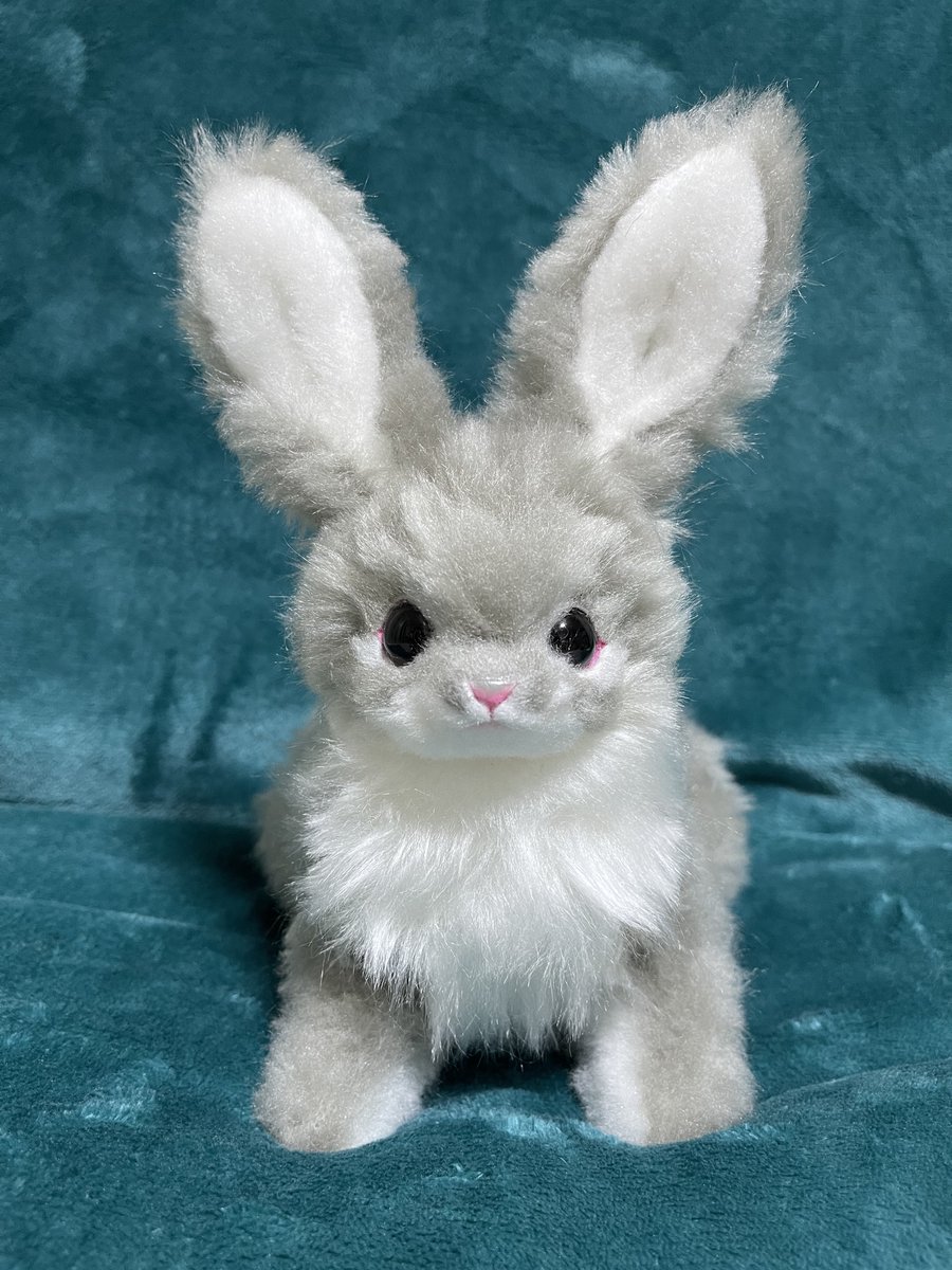 sora0228okayu's tweet photo. #BAKDOLL
アートドールのうさぎさんお迎え🥰
ホント可愛い🐰💕 https://t.co/Ix8YvsdQli