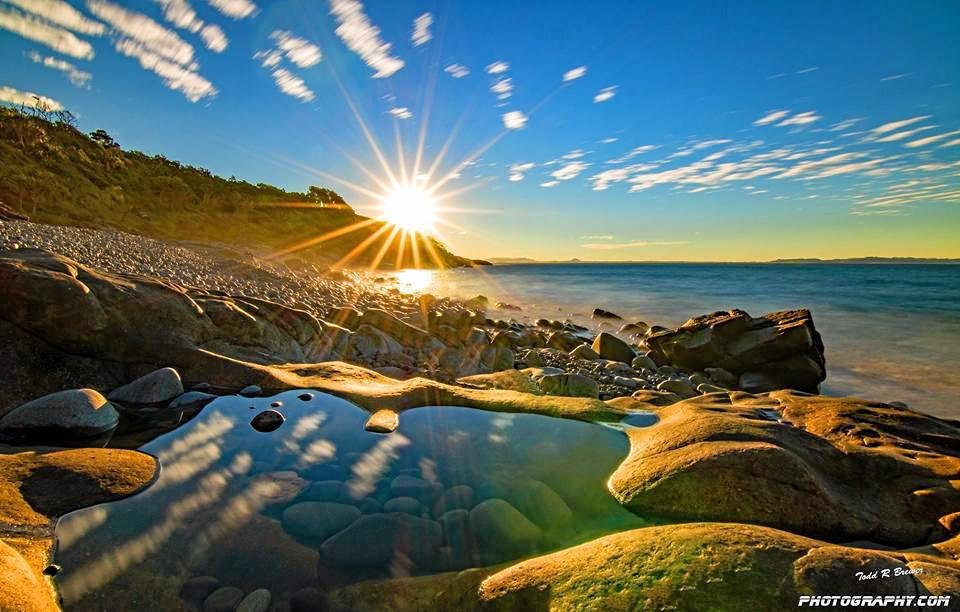 Michelle tweet media