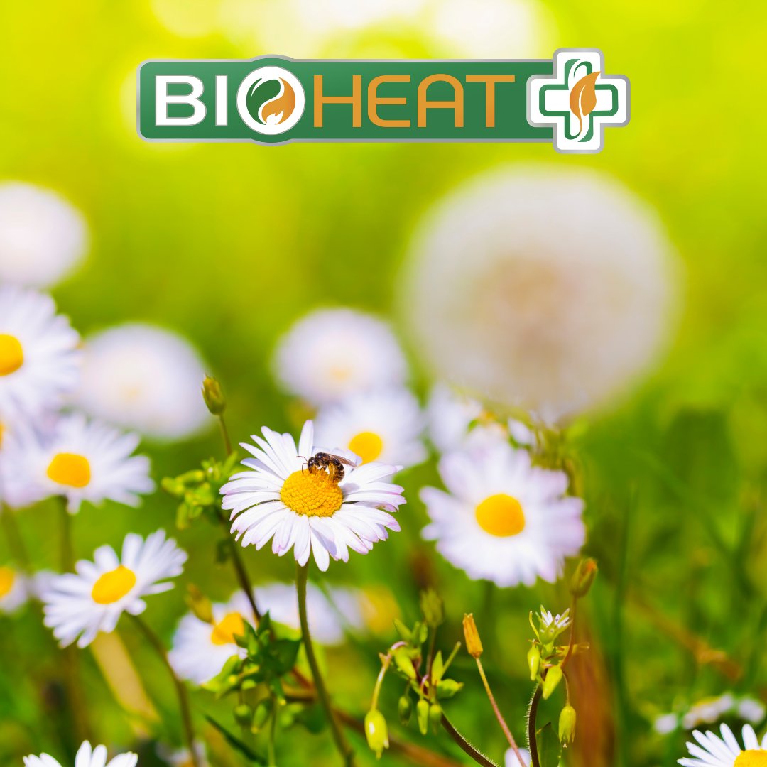 MyBioheat's tweet photo. Did you know that liquid fuels like #bioheatfuel have been keeping families warm for decades? That’s a renewable heating fuel that proves its performance. https://t.co/GP9moZmDI6 Learn more about Bioheat® fuel today.
#Bioheat #HeatingFuel #RenewableFuel #RenewableEnergy https://t.co/Gqtdhm5wyX