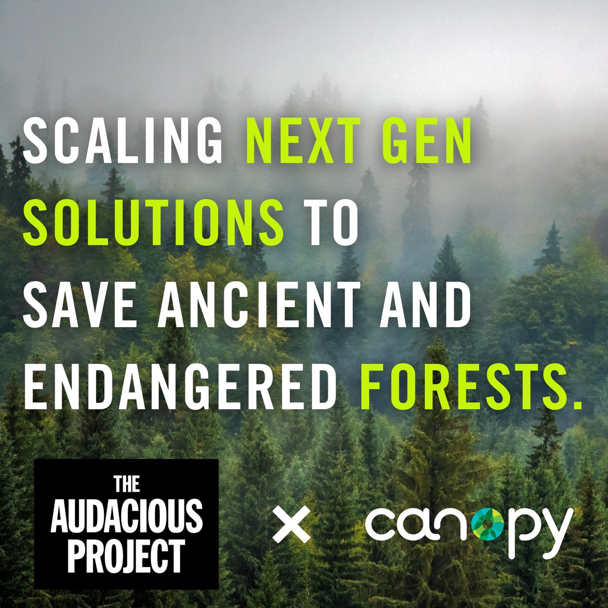 We are very happy to be partnering the audacious project by our partners Canopy in bringing circularity solutions to address the conservation of forests need. Learn more about Canopy and their inspiring work at: nextgennow.ca.
#AudaciousProject #TED2023