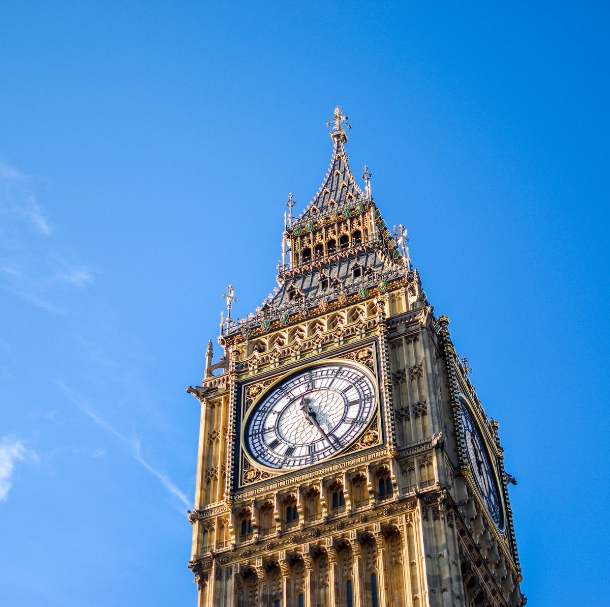 LHALondon's tweet image. Spring has really sprung today! 🌤️🌸🌺🌼
#LondonSpringTime