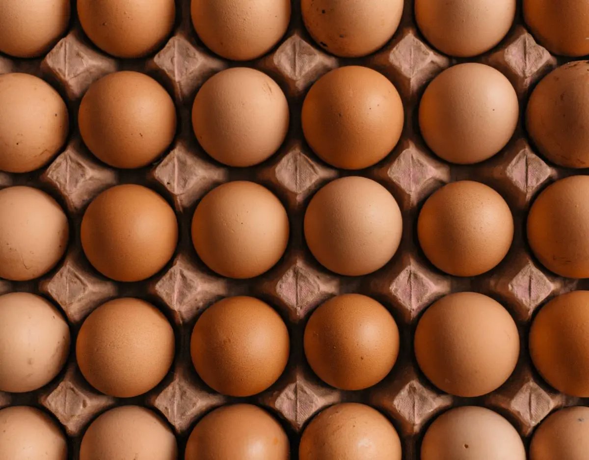 syamiejay's tweet photo. Ramadhan, Aidilfitri : KPDN promises to supply adequate chicken and eggs

(THREAD)

#com201  #MC1102C2023  #aidilfitri2023 https://t.co/Y65JZ1RrTD