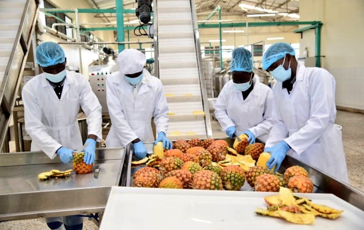 PS_MAAIF's tweet photo. I am pleased to see how the strategic investment in the Agricultural training institutes by Government continues to bear fruit. The students at Bukalasa Agricultural College, for instance, are making good use of the machines provided to process quality pineapple juice. https://t.co/MLUkAprnAi