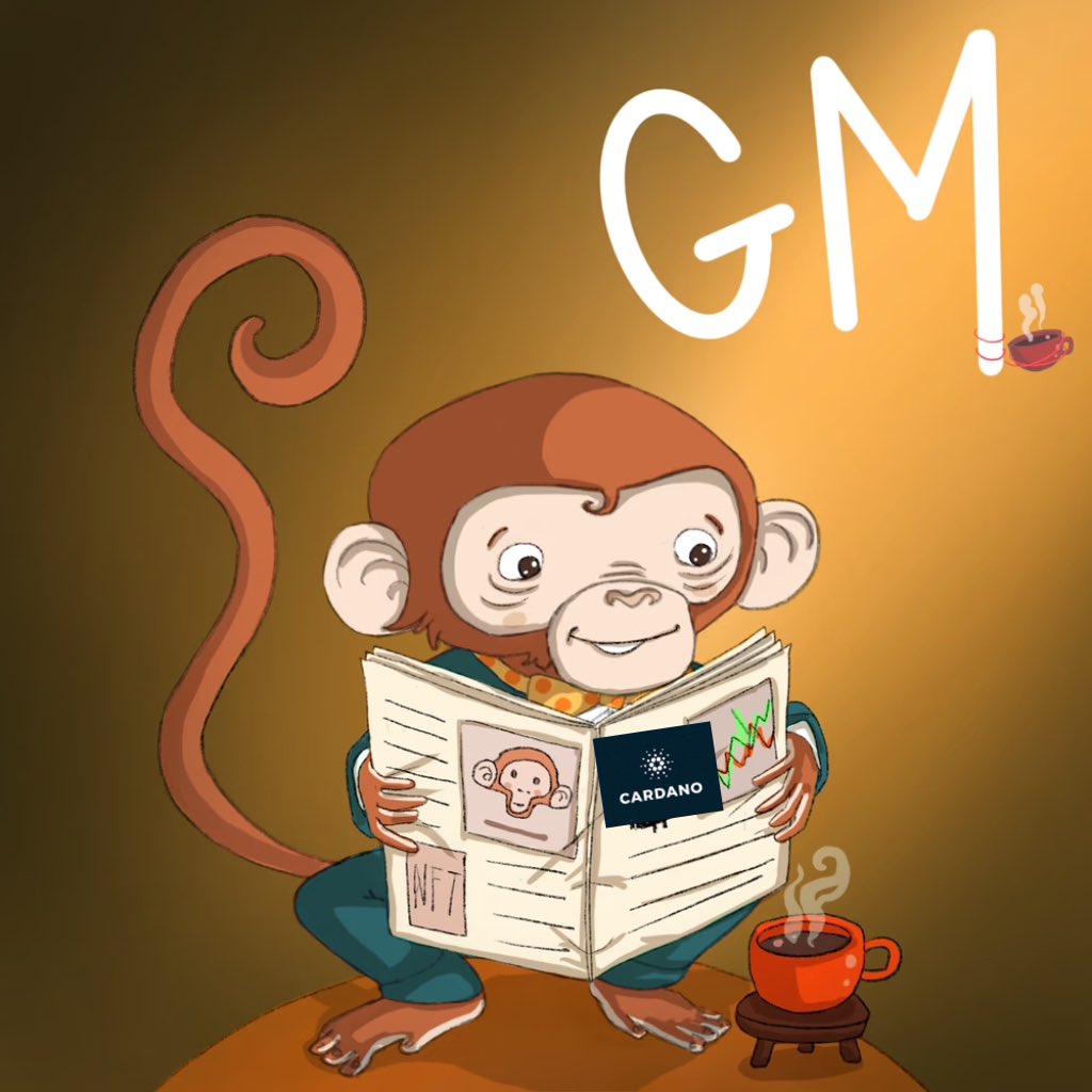 Dclay 🪙 tweet media