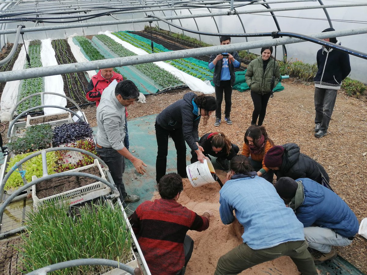 VG_Empresas's tweet photo. 👩🌾#Basaldea| Próximas citas en MAY0 para seguir conociendo metodologías de trabajo en #agricultura #biointensiva.
🔸"Horticultura biointensiva en pequeñas superficies".
De "Les Jardins de la Valette"
📆 2-4/05/2023
ℹ️👉 https://t.co/kxOMUJmlA6 https://t.co/3vbDhK4lTu