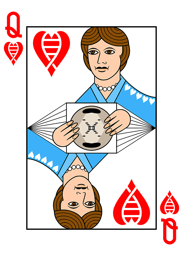 Rosalind Franklin appears in our set of Structural Biology Playing Cards available from PDB-101 #DNADay
pdb101.rcsb.org/learn/other-re…
