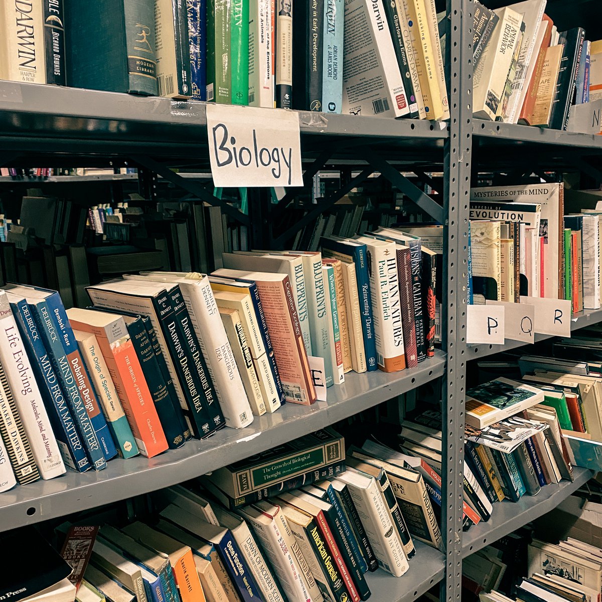 Second Story Books Rockville tweet media