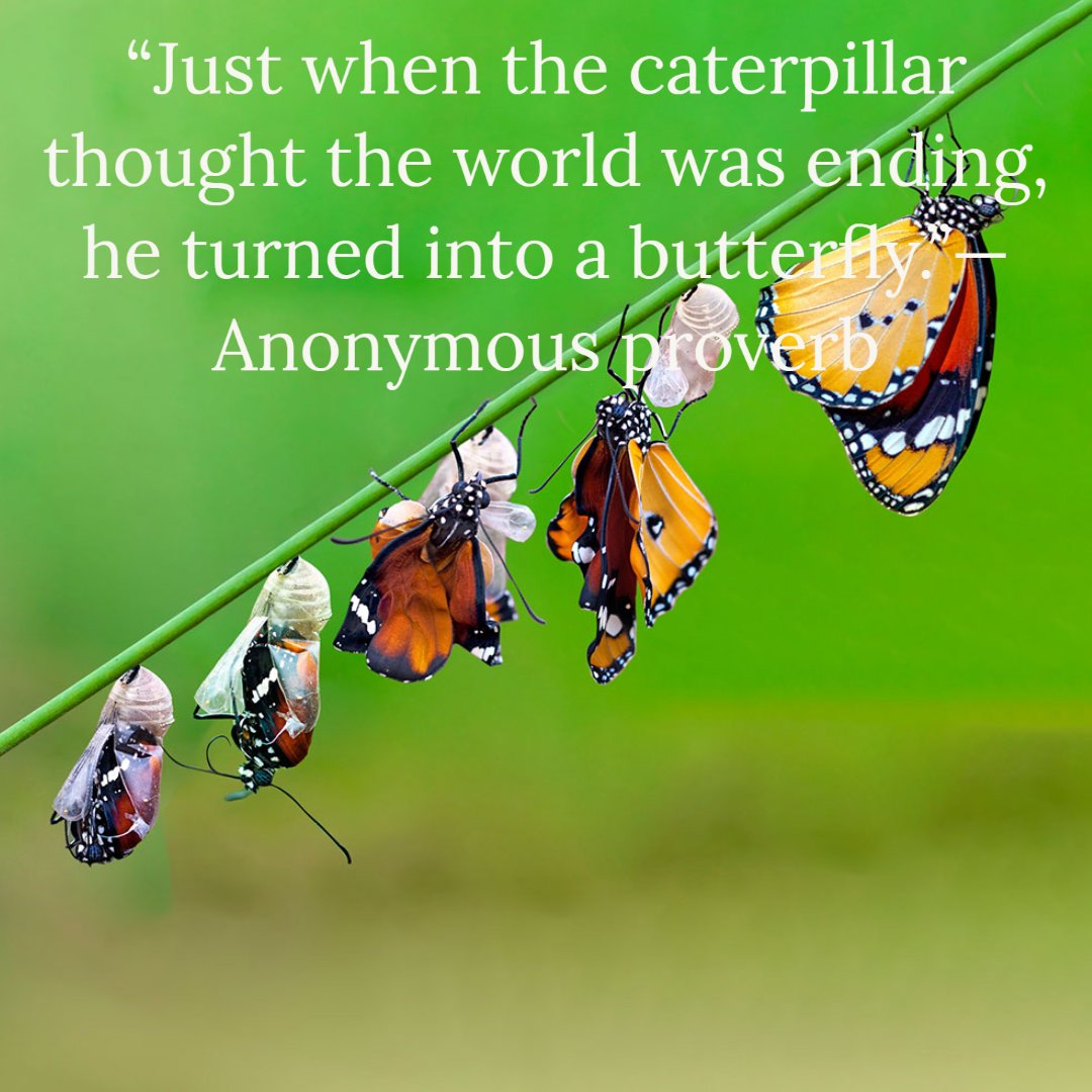 joy_mental's tweet photo. #feeljoy #joymentalfitness #psychotherapy #psychotherapist #behappy #telehealth #teletherapy #virtualtherapy #individualtherapy #couplestherapy #mentalhealth #mentalhealthawareness #freeyourmind #loveyourself #quotes #sayings #joy #happy #love #endthestigma #selflove #selfcare https://t.co/NNbKjBLW2R