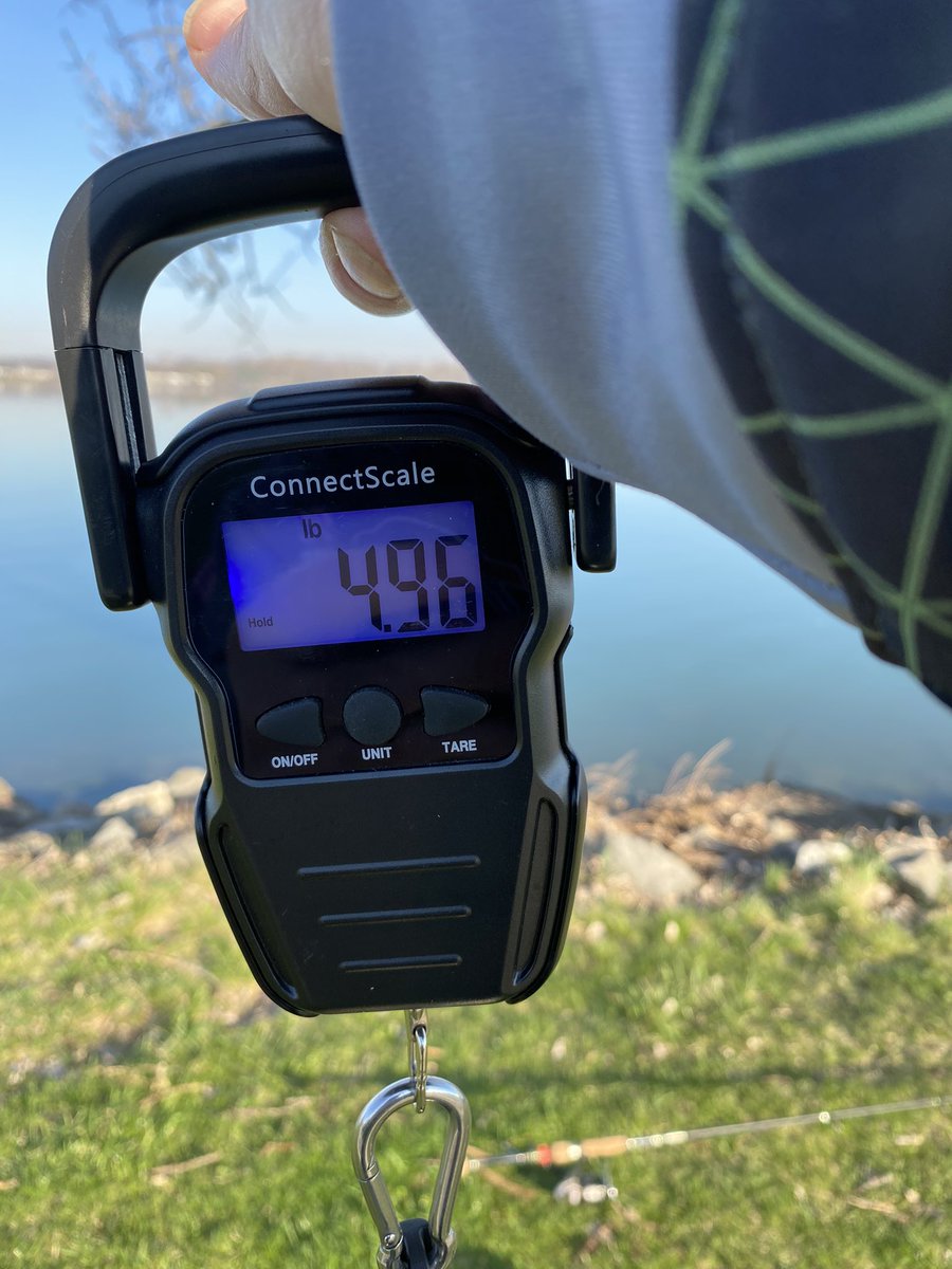 cboringfishing's tweet photo. Got me a tank yesterday!

#vectorhooks #viciousfishing #kisselkraftscustomrods #wootungsten #sublimewearusa https://t.co/uIOVLJDGZy