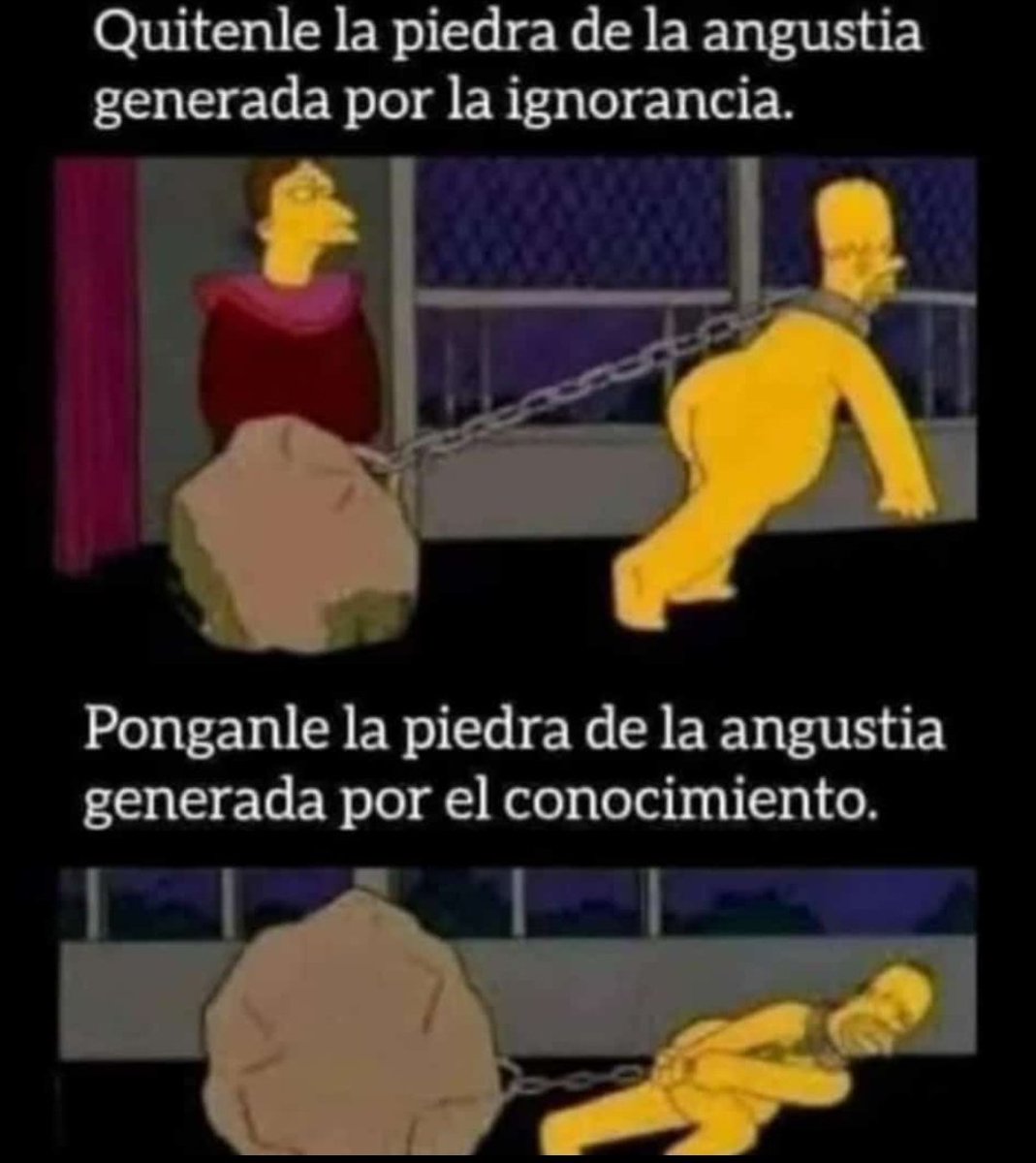 Post by Memes Universidad Nacional on X: Denso, image size:1069x1200