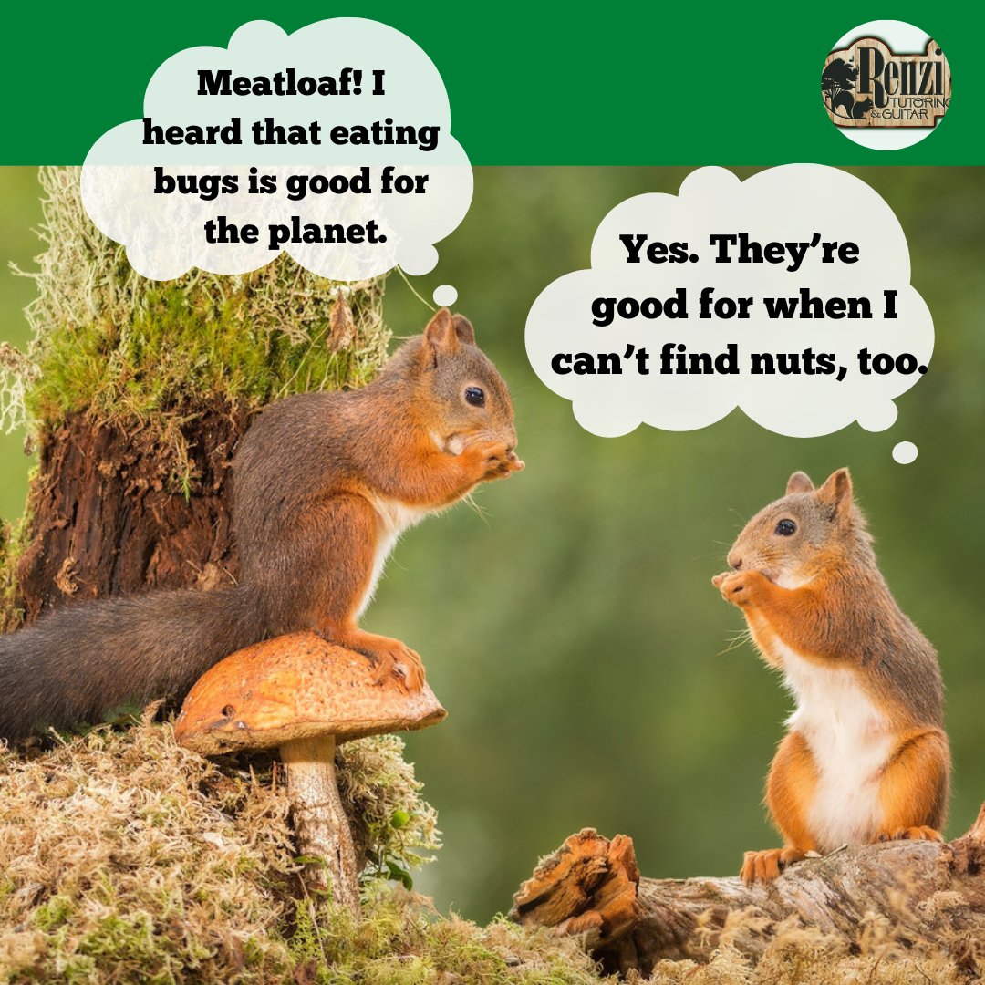 RTG_TutorGuitar's tweet photo. Wishing everyone a Happy Earth Day (April 22)!!!
#squirrels #rrtx #atx #guitarlessons #tutoring #virtuallessons #onlinelessons #onlinelearning #elearning #distancelearning #onlineclasses #virtuallearning #onlineeducation #nuts #guitar #earthday #earthday2023 https://t.co/v1cqTWpcj0