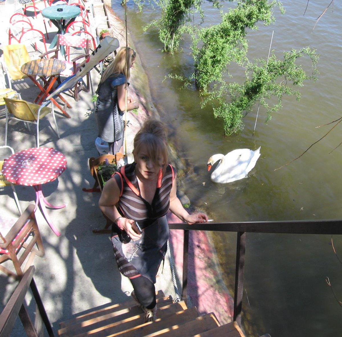 <a href="/MoeinKhatteSiah/">Moein Khatte Siah ▪️</a> <a href="/OVA_NFT/">OVA</a> @PauHanaArt @m15lngn