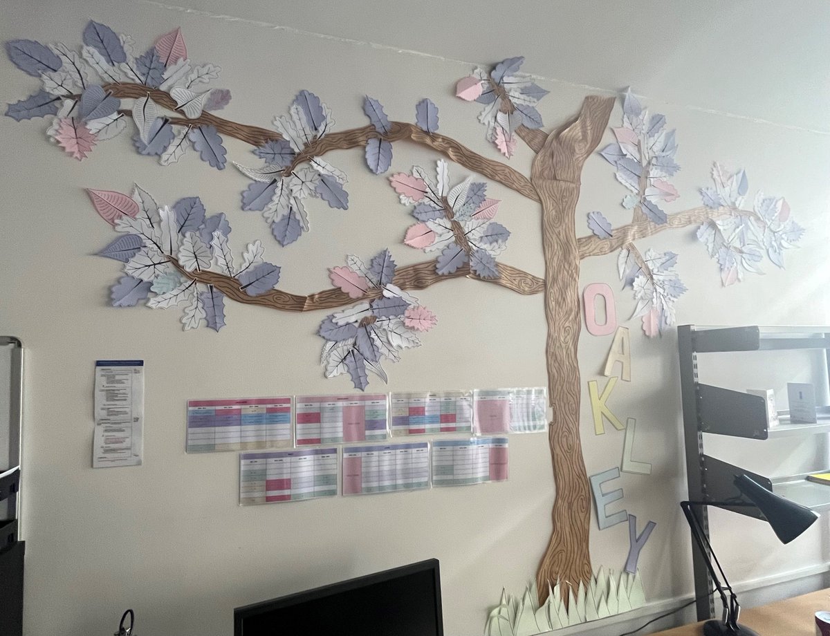 Oakley has enjoyed the spring term and has bloomed! Each leaf now represents a pupil that we have worked with, it really goes to show how this would not be possible without them and their hard work!