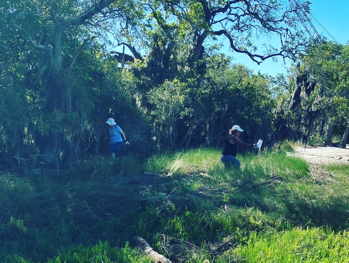 Rachel Kerestes tweet media