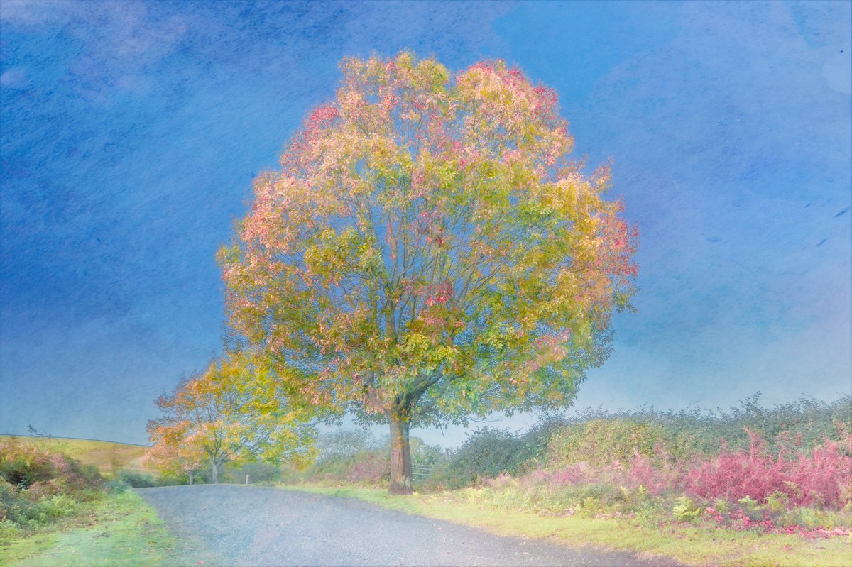 art gm from <a href="/megazordnft/">JuggernautNFT</a> 

The sound of seasons by <a href="/samanthacavet/">Samantha Cavet</a>