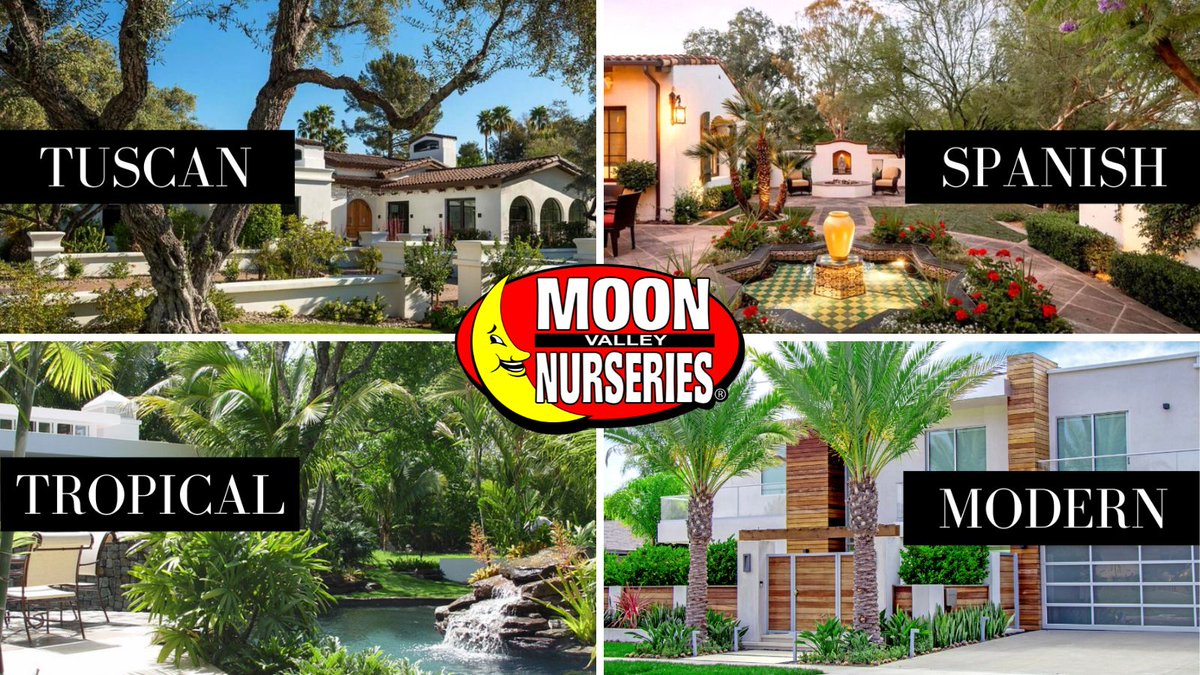 MoonValleyTrees's tweet photo. Landscape Style Guide Library: Every plant you will need to create your dream look!

AZ: https://t.co/L208bsZq1M
CA: https://t.co/w52Zxu4ght
NV: https://t.co/5LuopcUf1O
TX: https://t.co/Z7CMO3sJ3h

#ModernLandscape #TropicalLandscape #SpanishLandscape #TuscanLandscape https://t.co/KTm6JmYhG4