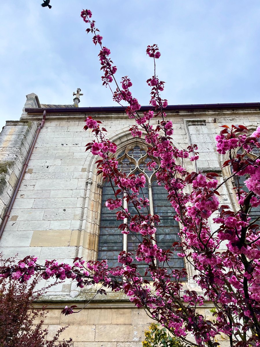 Ciao, mi chiamo Francesca e non fotografo fiori da un giorno

Io all’incontro con i primaveristi anonimi