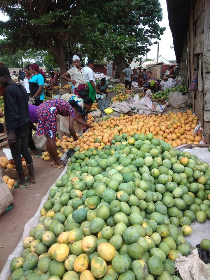 China Mnena on Twitter "Railway market, makurdi Benue state. The food basket of the nations."
