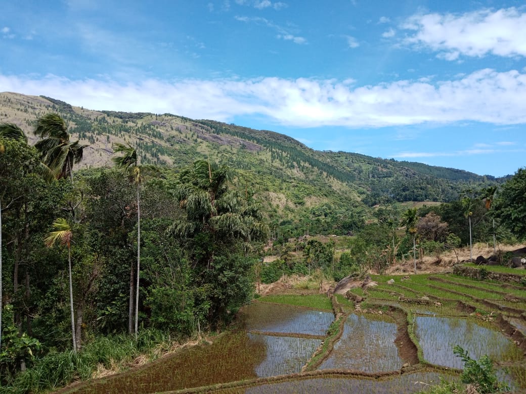 It's always important to #appreciate the #charm of #rural #life while also keeping their #daily #struggles in mind. 'A Glimpse of Village Life' brings you the daily #realities of rural life in Sri Lanka.

#SriLanka #FoGoodness #Village #Community