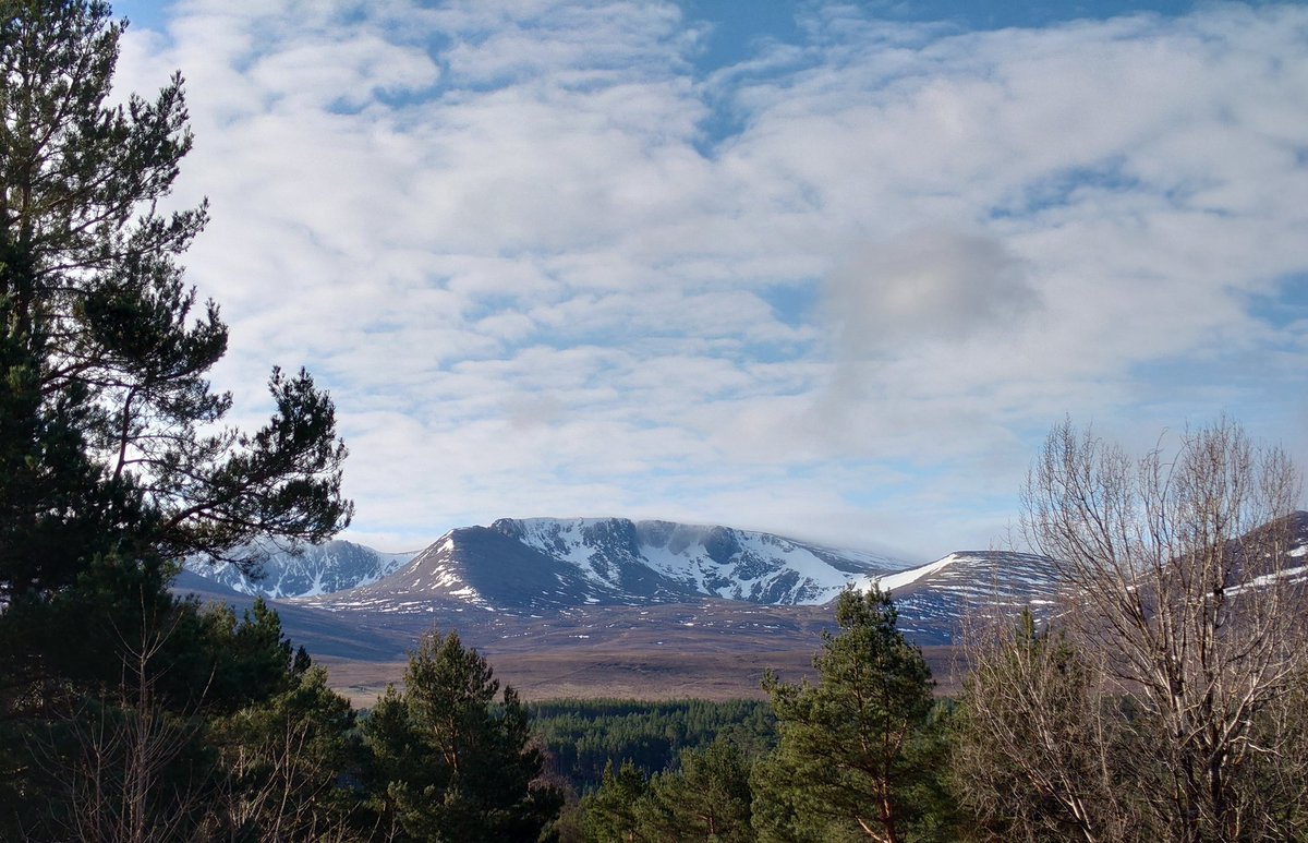 SAOCousins's tweet image. Day 3 is looking good (for now)
#fieldexcursion #cairngorms #geology #Geography @Stockholms_univ