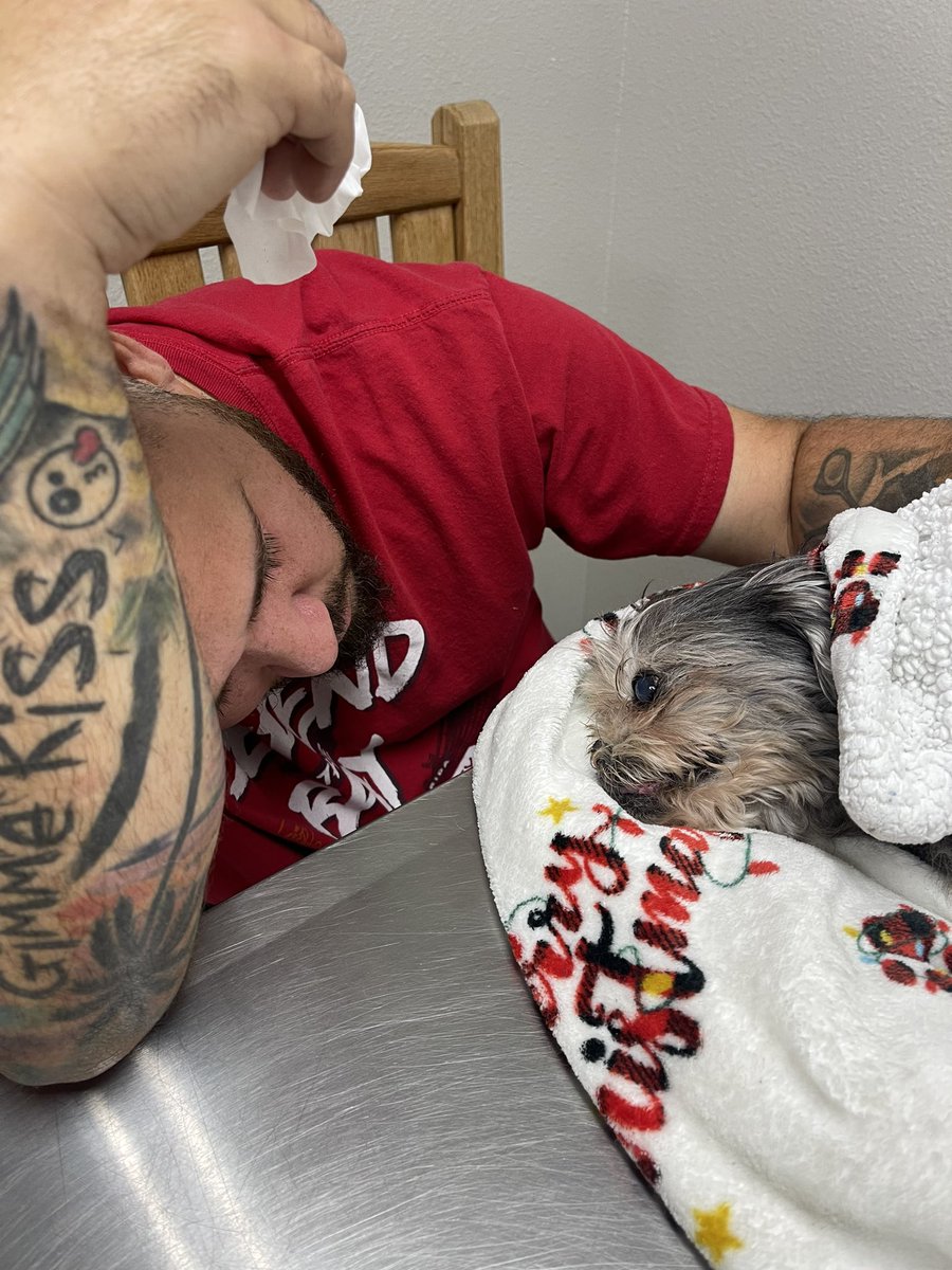 OmarGoshTV tweet media