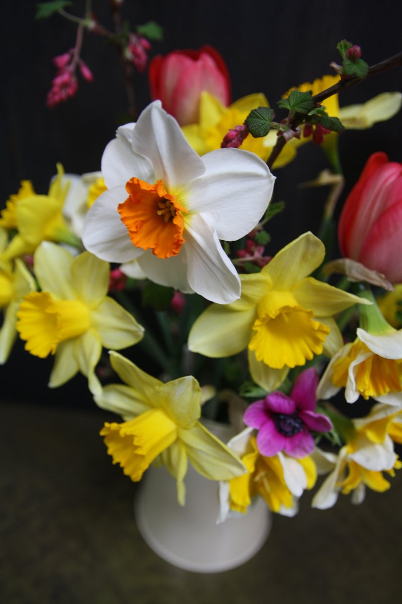 decorartuk's tweet photo. #Blooms I've been waiting for! Grown, cut, arranged, photographed and shared. #GardenersWorld #GardeningTwitter https://t.co/6bFl5CIYH0