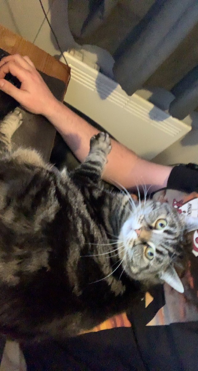 Helge T 🔌 tweet media