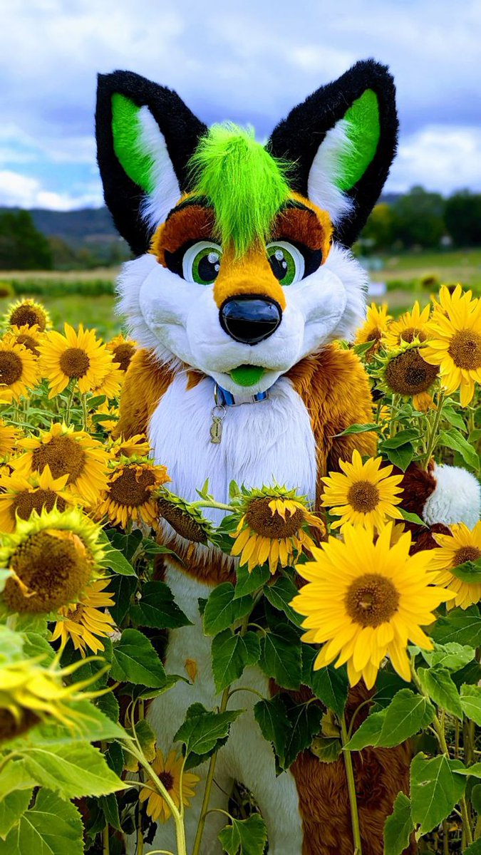 Confoxtion's tweet image. Ahoy, I'm Confoxtion! I'm an Aussie Variety Streamer, Vtuber & Content Creator. Here are some ways to find me:
🐾furaffinity.net/user/furtitude/
🔴Twitch: twitch.tv/Confoxtion/abo…
📹 YT: youtube.com/Confoxtion
📸 Photography: flickr.com/photos/8037830…
🐾 Other: confoxtion.carrd.co