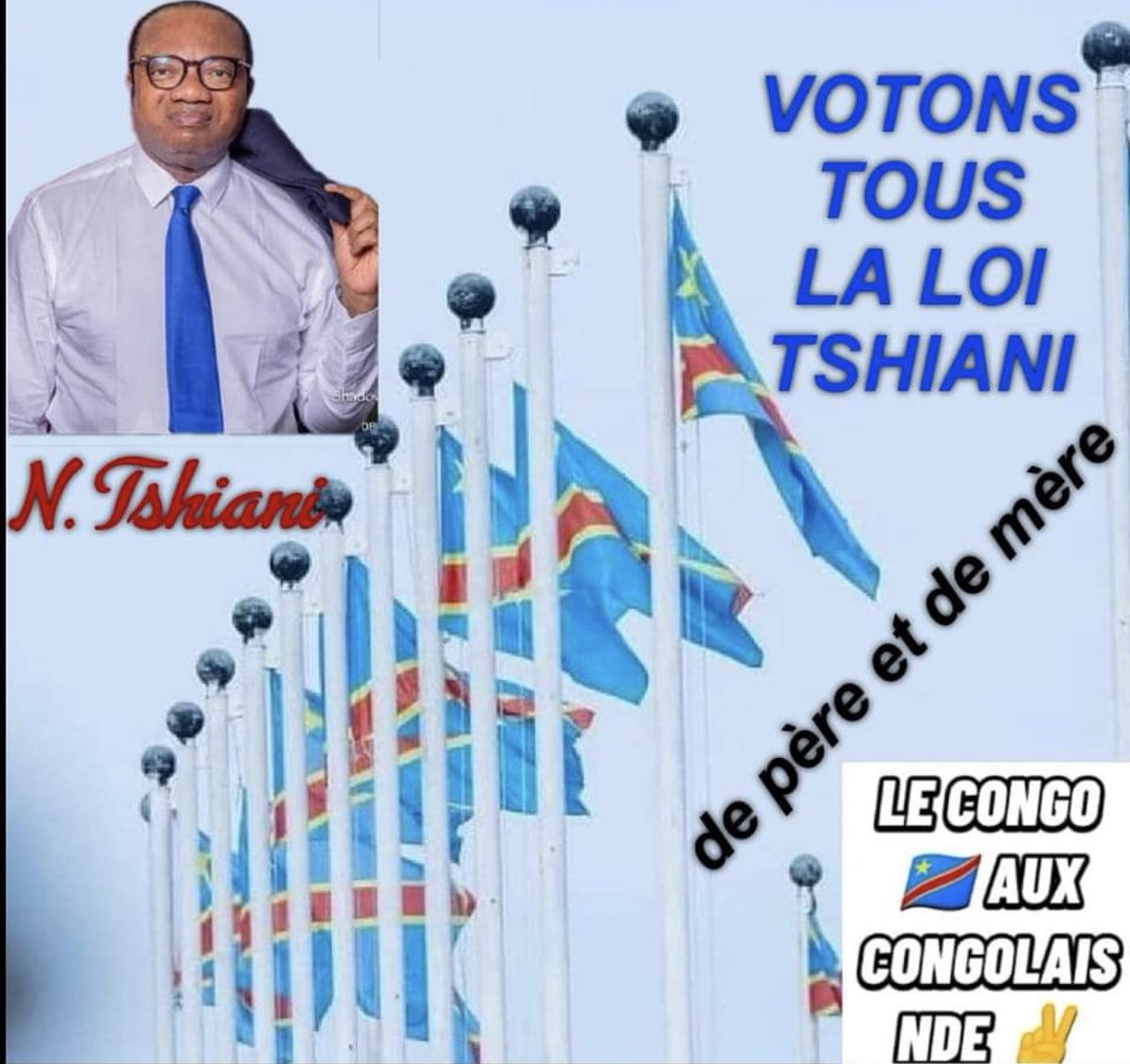 Noel K. Tshiani Muadiamvita, PhD tweet media