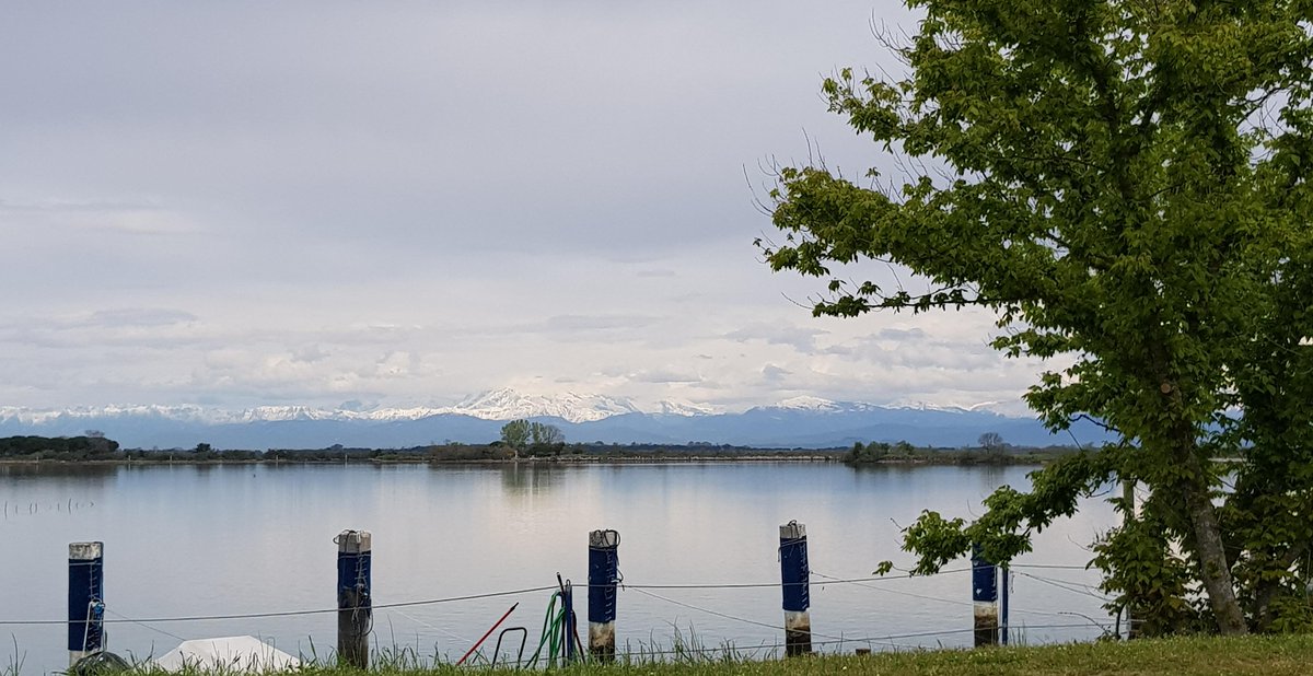 .@BeautyfromItaly -

#isola di #GRADO #island -

Paesaggio lagunare con lo sfondo delle montagne innevate -

@mariacr28250504 @giorgiobigi1 @SuttoraM @marina52182 @SaraSanson67 @CiriSince1978 @azzur_farfalla @enrica_emme @AugustSummer821 @yianidy @srmcarla @PaoloBosio43 @FlipRuth