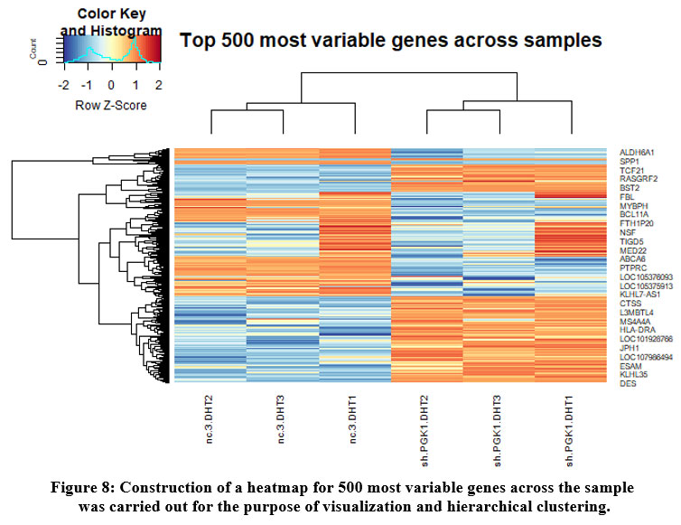 biomed_pharma's tweet photo. Deciphering the Role of Phosphoglycerate Kinase 1 in Polycystic Ovarian Syndrome using Differential Gene Expression Analysis Approach
@AmityUni
https://t.co/aNQvmYourU
#Deepsequencing #Geneontology #Glycolysis #Metabolic #Transcriptomic #biomedical #pharmacology @Sengupta_PhD https://t.co/PIUInRcy8C