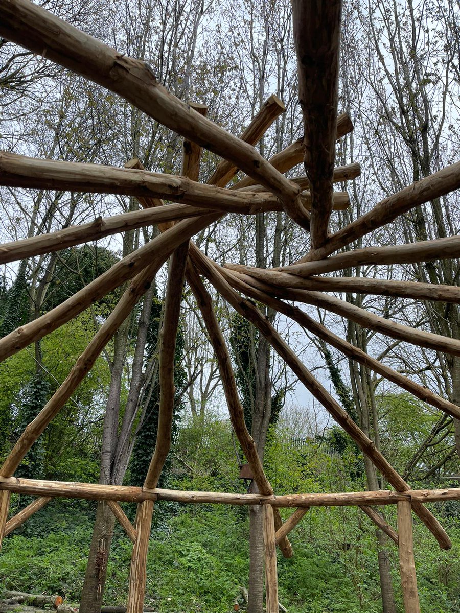 This impressive build continues. The space feels incredible 🌳💚

#roundhouse #reciprocalroof #greenwoodworking #heritagecrafts #craftsmanship #urbangreenspaces #communitygreenspace