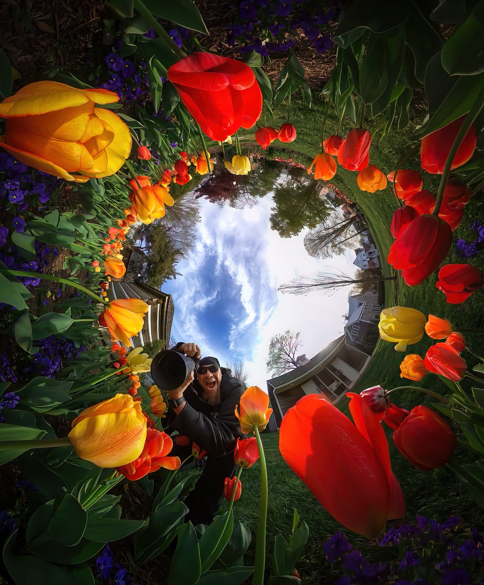 SiKImagery's tweet image. So excited to see the shots for the #SiKPhotoChallenge! Theme was:#SpringBloom
I had a hard time picking 1 version. This is actually the same exact shot, just edited different. Gotta love the @insta360 cameras! These #Tulips were just beautiful!
Next week’s theme: #AsAboveSoBelow