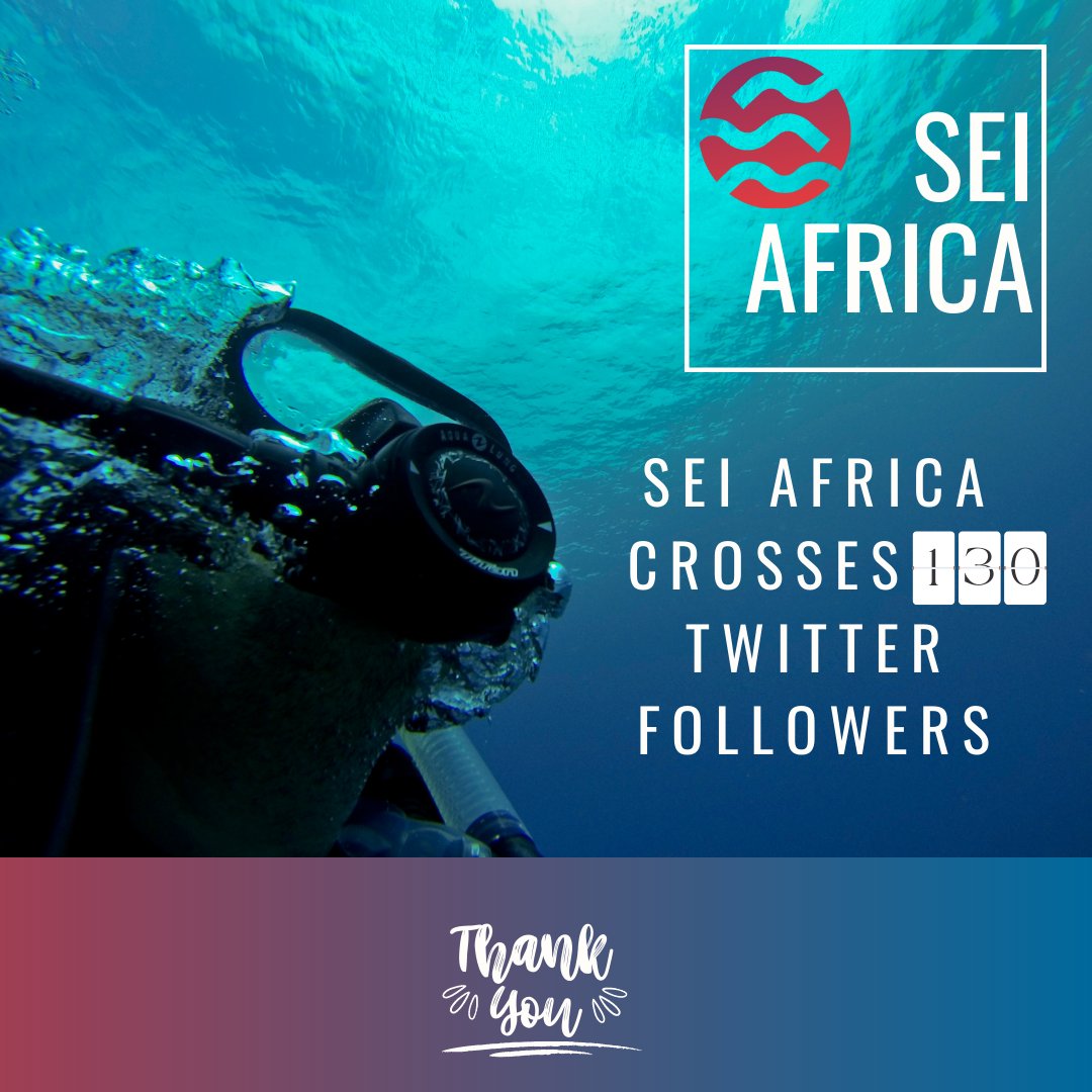 SeiAfrica's tweet photo. It has been overwhelming in the last few days with the @SeiNetwork fervor. We say a big thank you to y'all. We couldn't have made this far without you. We love you β€
#seilors #seilorgangs #seiyes #Cosmos #Cosmosverse #blockchain #disruptdefi https://t.co/npXLfrBoCS
