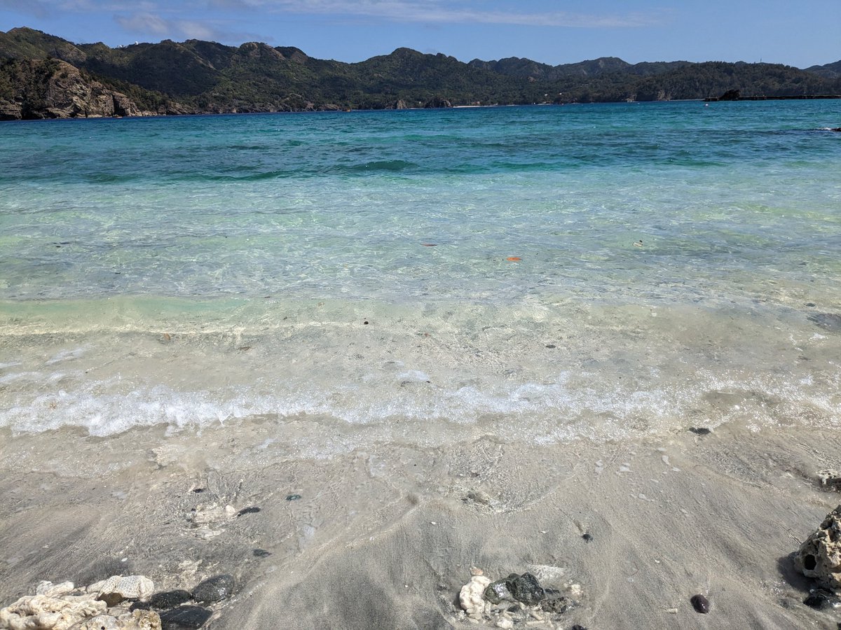 masaya_runio's tweet photo. 南の島は4月でも真夏のバカンス感 https://t.co/gpy4oE7X2Z