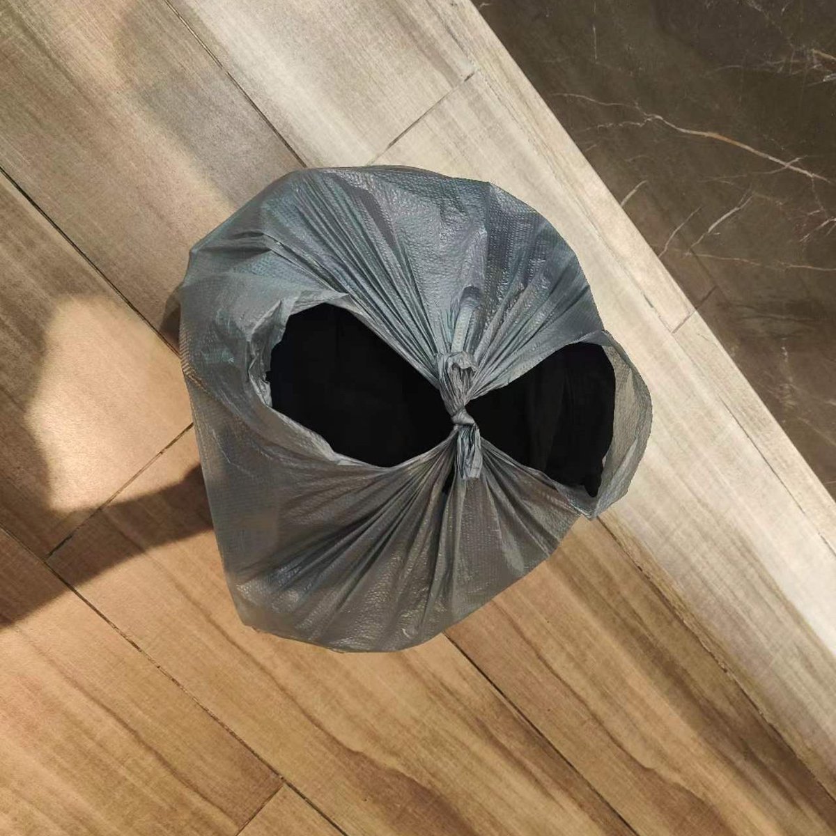 wodeziai's tweet image. A client sent me a package today, and I named it: Plastic Bag Aliens.👽👽👽